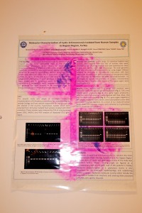 00 (591)